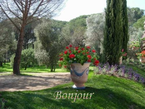 voir l'image en taille réelle
