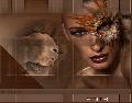 Hebergement gratuit d image et photo