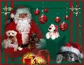 Hebergement gratuit d image et photo