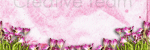 Image hébergée par Casimages.com : votre hébergeur d images simple et gratuit