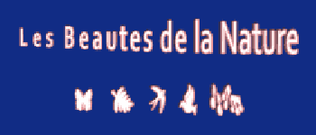 LES BEAUTES DE LA NATURE