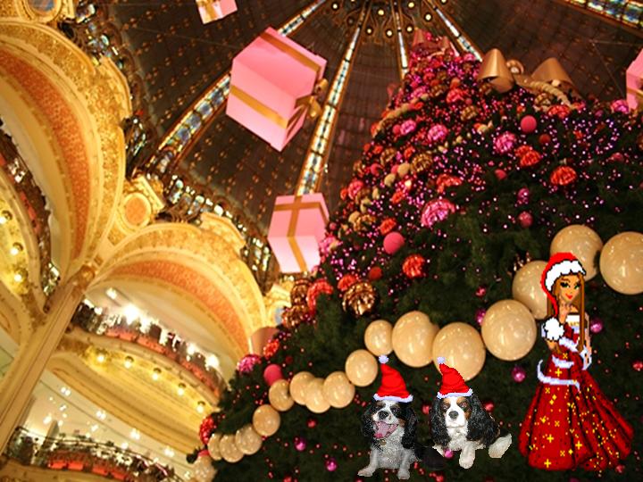 Image h�berg�e par Casimages.com : votre h�bergeur d images simple et gratuit