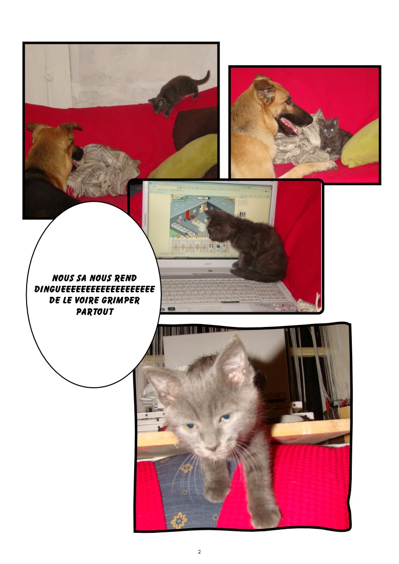 Image h�berg�e par Casimages.com : votre h�bergeur d images simple et gratuit