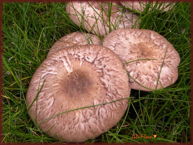 Image hébergée par Casimages.com : votre hébergeur d images simple et gratuit
