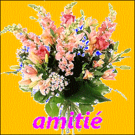 Image hébergée par Casimages.com : votre hébergeur d images simple et gratuit