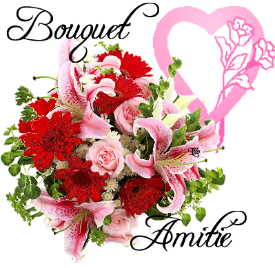 Image hébergée par Casimages.com : votre hébergeur d images simple et gratuit