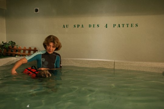 Image hébergée par Casimages.com : votre hébergeur d images simple et gratuit