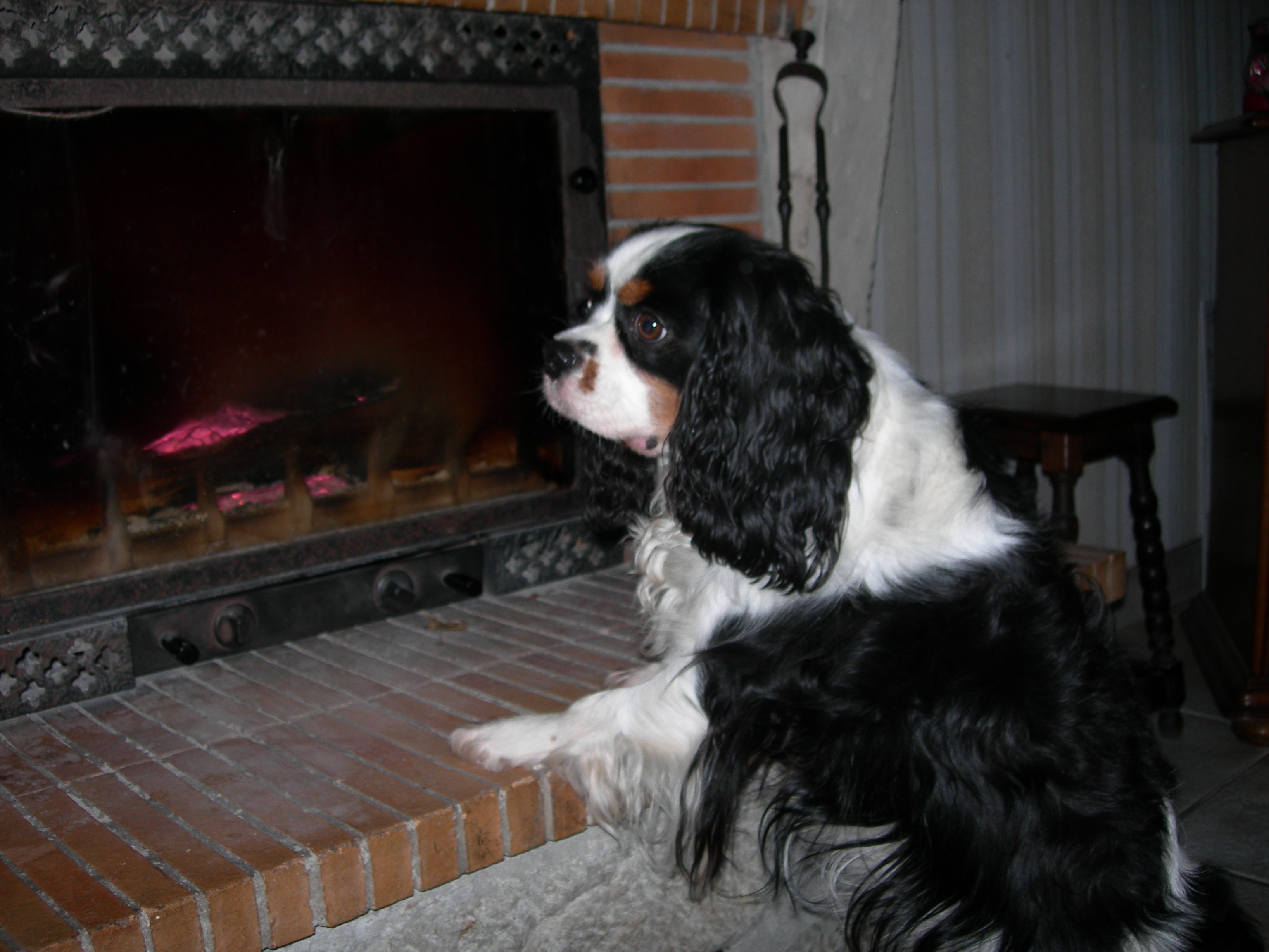 Image h�berg�e par Casimages.com : votre h�bergeur d images simple et gratuit