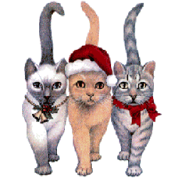 Image hébergée par Casimages.com : votre hébergeur d images simple et gratuit