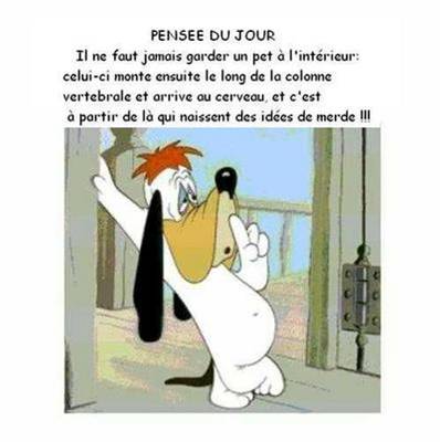 Image hébergée par Casimages.com : votre hébergeur d images simple et gratuit