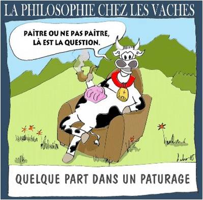 Image hébergée par Casimages.com : votre hébergeur d images simple et gratuit