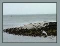 P1000809_2
