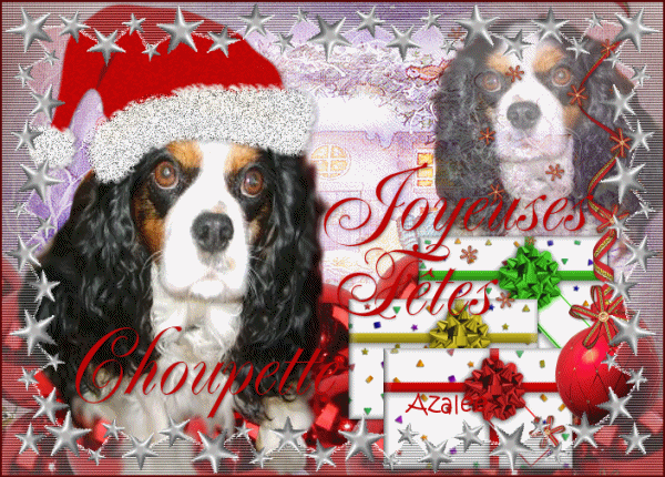 Image h�berg�e par Casimages.com : votre h�bergeur d images simple et gratuit