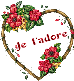 voir l'image en taille réelle