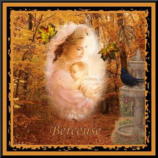 http://nsm02.casimages.com/img/2009/12/12//091212075847922665043578.gif