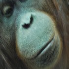 Image hébergée par Casimages.com : votre hébergeur d images simple et gratuit