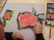 Cliquez pour afficher l'image en taille r�elle