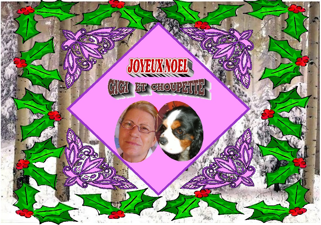 Image h�berg�e par Casimages.com : votre h�bergeur d images simple et gratuit