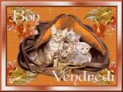 Bon vendredi