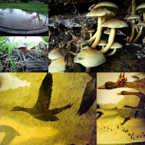Image hébergée par Casimages.com : votre hébergeur d images simple et gratuit