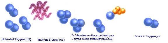 Image h�berg�e par Casimages.com : votre h�bergeur d images simple et gratuit