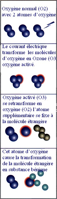 Image h�berg�e par Casimages.com : votre h�bergeur d images simple et gratuit