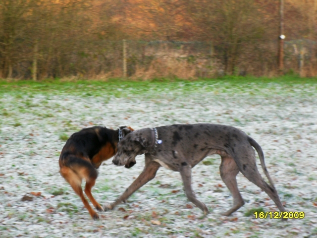 Image h�berg�e par Casimages.com : votre h�bergeur d images simple et gratuit