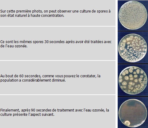 Image h�berg�e par Casimages.com : votre h�bergeur d images simple et gratuit