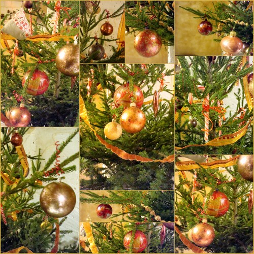 Image hébergée par Casimages.com : votre hébergeur d images simple et gratuit
