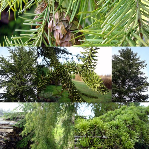 Image hébergée par Casimages.com : votre hébergeur d images simple et gratuit