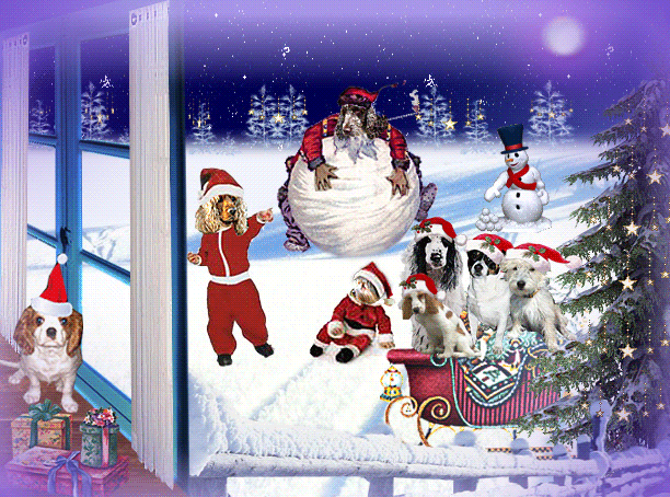 Image h�berg�e par Casimages.com 
: votre h�bergeur d images simple et gratuit