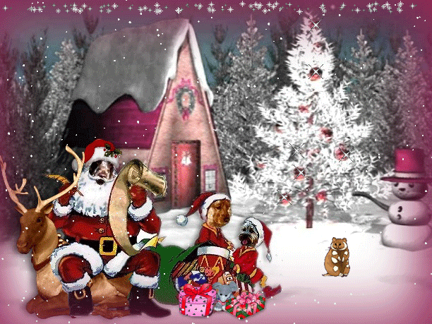 Image h�berg�e par Casimages.com 
: votre h�bergeur d images simple et gratuit