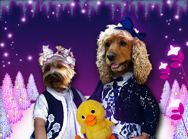 Image h�berg�e par Casimages.com 
: votre h�bergeur d images simple et gratuit