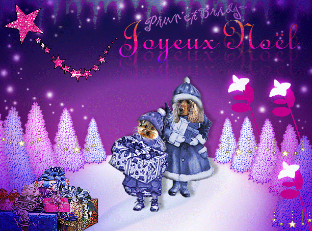 Image hébergée par Casimages.com : votre hébergeur d images simple et gratuit