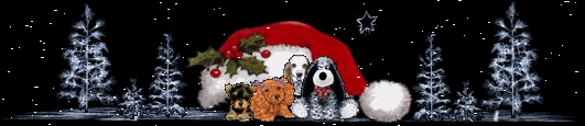 Image 
h�berg�e par Casimages.com : votre h�bergeur d images simple et gratuit