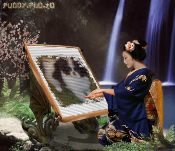 Image h�berg�e par Casimages.com : votre h�bergeur d images simple et gratuit