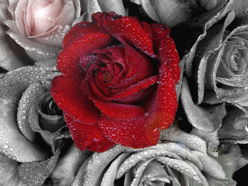 Image hébergée par Casimages.com : votre hébergeur d images simple et gratuit