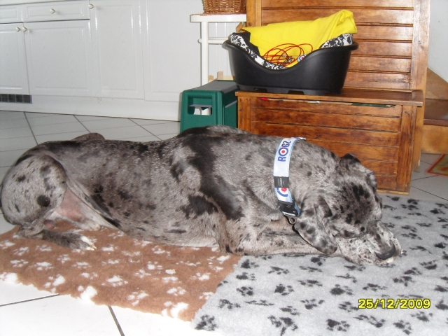 Image h�berg�e par Casimages.com : votre h�bergeur d images simple et gratuit