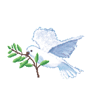 Image h�berg�e par Casimages.com : votre h�bergeur d images simple et gratuit