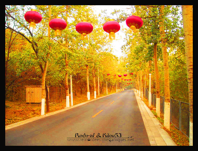 Image IPB