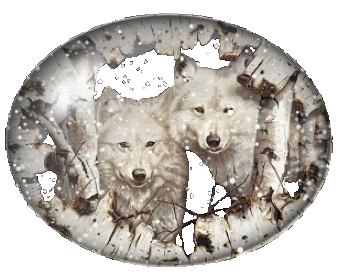 Image hébergée par Casimages.com : votre hébergeur d images simple et gratuit