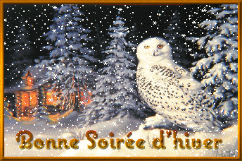 Image h�berg�e par Casimages.com : votre h�bergeur d images simple et gratuit