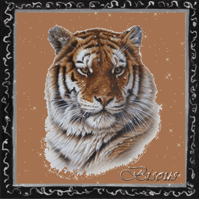 Image hébergée par Casimages.com : votre hébergeur d images simple et gratuit
