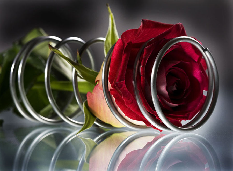 Image hébergée par Casimages.com : votre hébergeur d images simple et gratuit