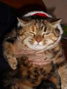Hebergement gratuit d image et photo