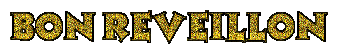 http://nsm02.casimages.com/img/2009/12/31//091231040342221005155323.gif