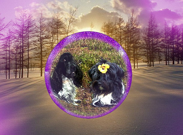 Image h�berg�e par Casimages.com : votre h�bergeur d images simple et gratuit