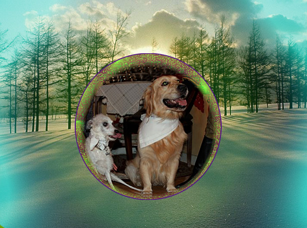 Image h�berg�e par Casimages.com : votre h�bergeur d images simple et gratuit