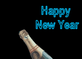 http://nsm02.casimages.com/img/2010/01/01//100101070911221005158224.gif