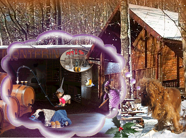 Image h�berg�e par Casimages.com : votre h�bergeur d images simple et gratuit
